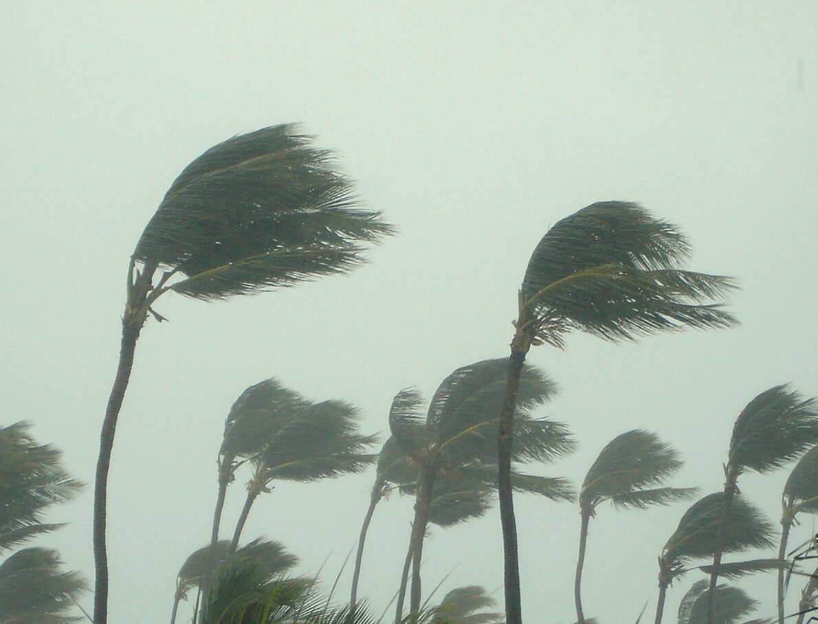 2024 Hurricane Names released South Central Florida Life